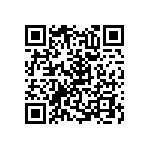 RNC55H3361BSBSL QRCode