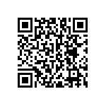 RNC55H3743BRRSL QRCode