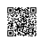 RNC55H3832BSBSL QRCode