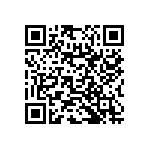 RNC55H4132FSB14 QRCode