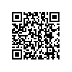 RNC55H7153FRRSL QRCode