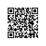 RNC55J1002BSB14 QRCode