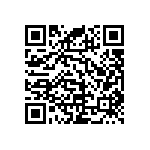 RNC55J1003FSRE6 QRCode