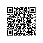 RNC55J1291BSB14 QRCode