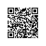 RNC55J1293BSRE6 QRCode