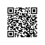 RNC55J1341BSB14 QRCode