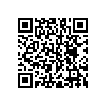 RNC55J2153BSB14 QRCode