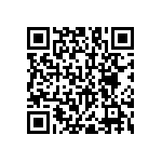 RNC55J2493BSBSL QRCode