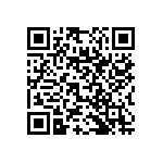 RNC55J2941FRB14 QRCode