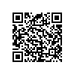 RNC55J3003BSRE6 QRCode