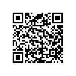 RNC55J3012DSBSL QRCode