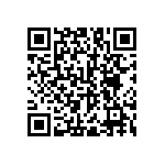 RNC55J3013BRB14 QRCode