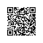 RNC55J3013FSBSL QRCode