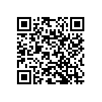 RNC55J3052BSRE6 QRCode