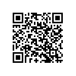 RNC55J3243BPBSL QRCode