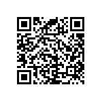 RNC55J4023BSBSL QRCode