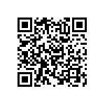 RNC55J4282BMRE6 QRCode