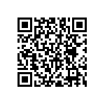 RNC55J4593BSBSL QRCode