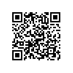 RNC55J6041BSBSL QRCode