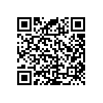 RNC55J8063FSBSL QRCode