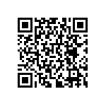 RNCF0402BKE383R QRCode