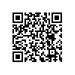 RNCF0402BTE787R QRCode