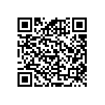 RNCF0402DKE13K3 QRCode