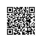 RNCF0402DKE38K3 QRCode