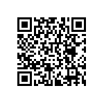 RNCF0402DTE2K61 QRCode