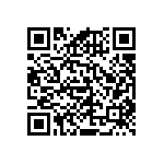 RNCF0402DTE31K6 QRCode