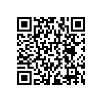 RNCF1206BKC124K QRCode