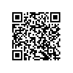 RNCF1206BKE30R0 QRCode