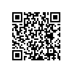 RNCF1206BKE866R QRCode