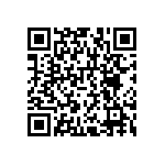 RNCF1206BKT4K99 QRCode