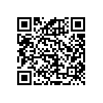 RNCF1206BTE13K2 QRCode