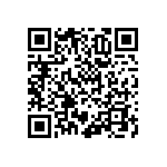 RNCF1206BTE13K7 QRCode