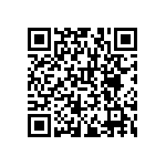 RNCF1210BTE13R3 QRCode