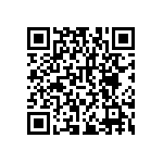 RNCF2512BKE113K QRCode