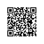 RNCF2512BKE261R QRCode