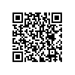 RNCF2512BKE29R4 QRCode