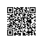 RNCF2512BTE300R QRCode