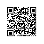 RNCF2512DKE133K QRCode