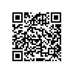 RNCF2512DKE383K QRCode