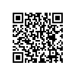 RNCF2512DTC102K QRCode