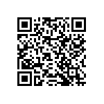 RNCF2512DTC13K3 QRCode