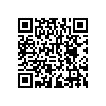 RNCF2512DTC13R0 QRCode