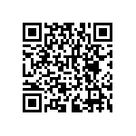 RNCF2512DTC30R1 QRCode