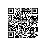 RNCF2512DTC383R QRCode