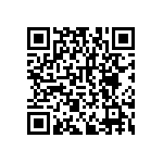 RNCF2512DTE29K4 QRCode