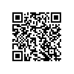 RNCF2512DTE2M00 QRCode